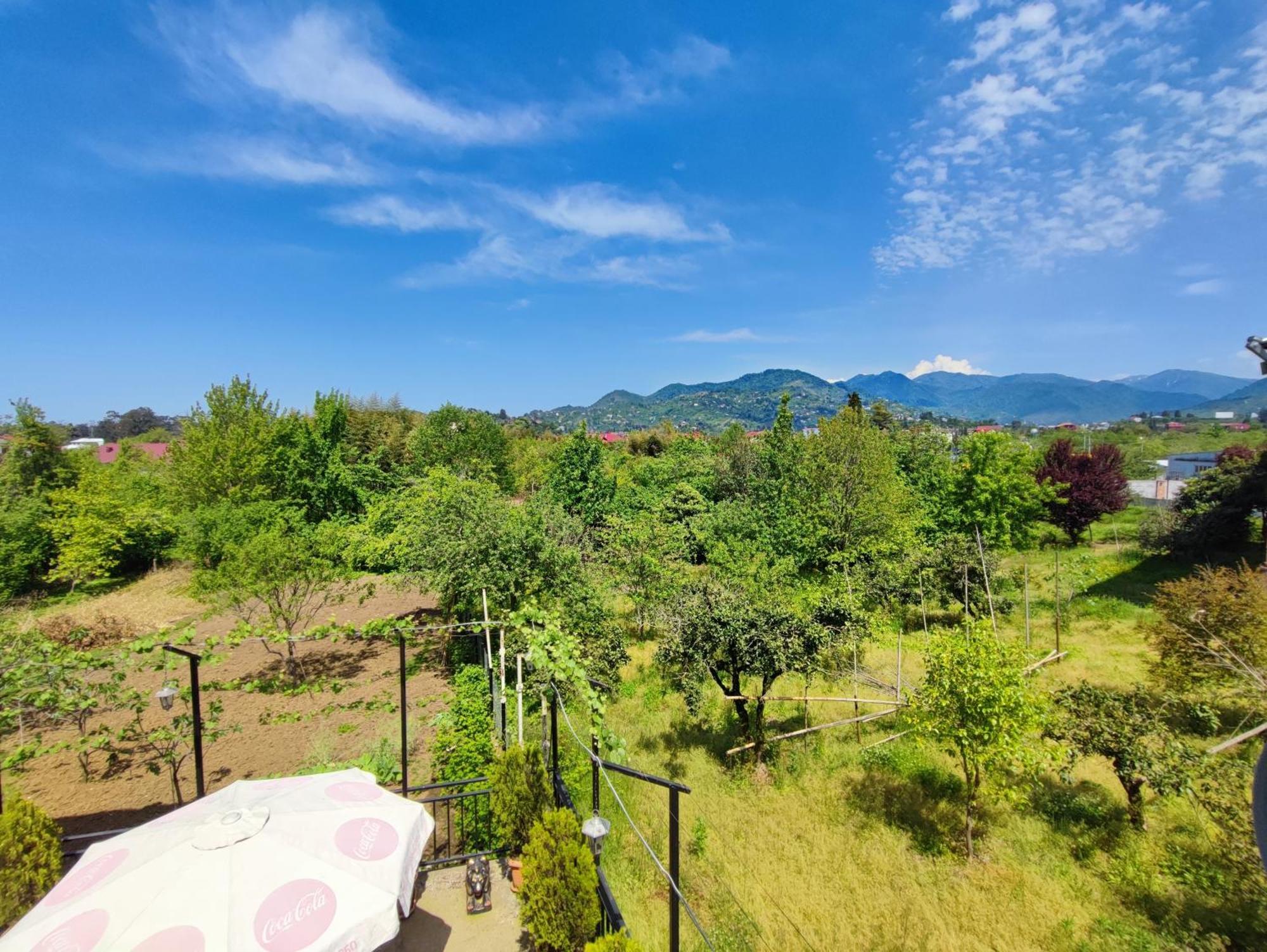 Hotel Botanica Chakvi Εξωτερικό φωτογραφία