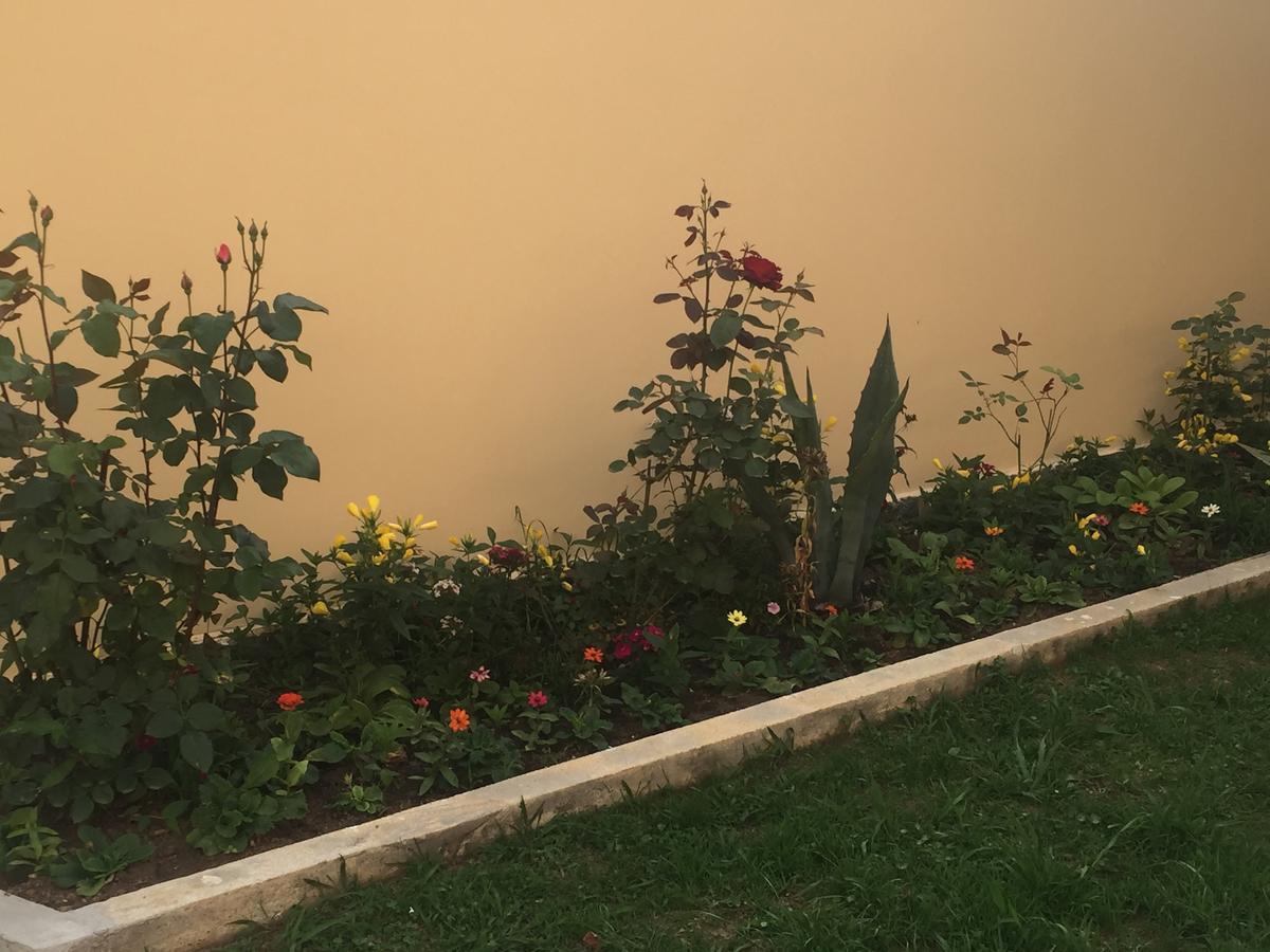 Hotel Botanica Chakvi Εξωτερικό φωτογραφία